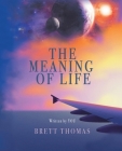 The Meaning of Life By Brett Thomas Cover Image