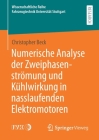 Numerische Analyse Der Zweiphasenströmung Und Kühlwirkung in Nasslaufenden Elektromotoren Cover Image