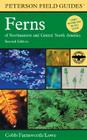 Peterson Field Guide To Ferns, Second Edition: Northeastern and Central North America (Peterson Field Guides) Cover Image