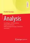 Analysis: Grundlagen, Differentiation, Integrationstheorie, Differentialgleichungen, Variationsmethoden (Springer-Lehrbuch) Cover Image