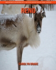 Reno: Imágenes increíbles y datos divertidos para niños Cover Image