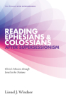Reading Ephesians and Colossians after Supersessionism (New Testament After Supersessionism #2) Cover Image