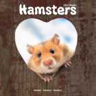 2023 Hamsters Wall Calendar By Avonside Publishing Ltd (Editor) Cover Image