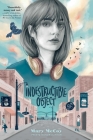 Indestructible Object By Mary McCoy Cover Image