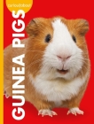 Curious about Guinea Pigs By Alissa Thielges Cover Image