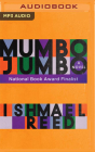 Mumbo Jumbo By Ishmael Reed, David Sadzin (Read by) Cover Image
