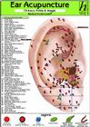 Ear Acupuncture: Chinese Points & Images Cover Image
