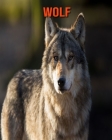 Wolf: Beautiful Pictures & Interesting Facts Children Book About Wolf By Alice William Cover Image