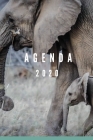 agenda 2020: planificador semanal y mensual 1 de enero 2020 al 31 de diciembre de 2020 mas vista de calendario y cubierta elefante By Planificador 2020 Kiara Cover Image