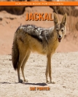 Jackal: Fun Facts Book for Children By Sue Porter Cover Image