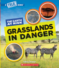 Grasslands in Danger (A True Book: The Earth at Risk) (A True Book (Relaunch)) By Felicia Brower Cover Image