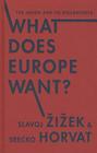 What Does Europe Want?: The Union and Its Discontents (Insurrections: Critical Studies in Religion) By Slavoj Zizek, Srecko Horvat Cover Image