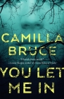 You Let Me In By Camilla Bruce Cover Image