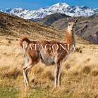 Patagonia National Park: Chile: Chile Cover Image