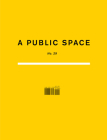 A Public Space No. 29 By Brigid Hughes (Editor) Cover Image