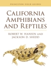 California Amphibians and Reptiles (Princeton Field Guides #165) Cover Image