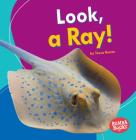 Look, a Ray! By Tessa Kenan Cover Image