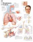 Respiratory System Chart: Laminated Wall Chart Cover Image