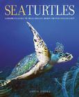 Sea Turtles: A Complete Guide to Their Biology, Behavior, and Conservation Cover Image