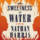 The Sweetness of Water Cover Image