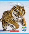 Tigers (Nature's Children) (Nature's Children, Fourth Series) By Patricia Janes Cover Image