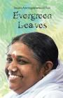 Evergreen Leaves Cover Image