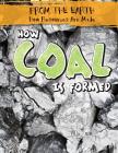 How Coal Is Formed (From the Earth: How Resources Are Made) Cover Image