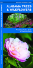 Alabama Trees & Wildflowers: A Folding Pocket Guide to Familiar Plants (Pocket Naturalist Guide) By James Kavanagh, Raymond Leung (Illustrator) Cover Image