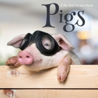 Pigs, A No Text Picture Book: A Calming Gift for Alzheimer Patients and Senior Citizens Living With Dementia Cover Image