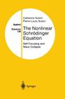 The Nonlinear Schrödinger Equation: Self-Focusing and Wave Collapse (Applied Mathematical Sciences #139) By Catherine Sulem, Pierre-Louis Sulem Cover Image