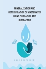 Mineralization and Detoxification of Wastewater Using Ozonation and Bioreactor By Anuj Chaturvedi Cover Image