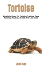 Tortoise: Simplicity Guide On Tortoise Training, Care, Feeding, Housing, As Pet And Lots More By Jack Buzz Cover Image