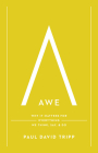 Awe: Why It Matters for Everything We Think, Say, and Do Cover Image