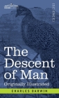 The Descent of Man: and Selection in Relation to Sex By Charles Darwin Cover Image