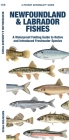 Newfoundland & Labrador Fishes: A Waterproof Folding Guide to Native and Introduced Freshwater Species (Pocket Naturalist Guide) By Matthew Morris, Leung Raymond (Illustrator), Waterford Press Cover Image