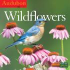 Audubon Wildflowers Wall Calendar 2017 Cover Image