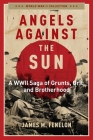 Angels Against the Sun: A WWIl Saga of Grunts, Grit, and Brotherhood By James M. Fenelon Cover Image