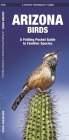 Arizona Birds: A Folding Pocket Guide to Familiar Species Cover Image