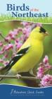 Birds of the Northeast: Your Way to Easily Identify Backyard Birds (Adventure Quick Guides) Cover Image