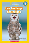 National Geographic Kids: Les Harfangs Des Neiges (Niveau 1) (National Geographic Readers: Level Pre1) By Shelby Alinsky Cover Image