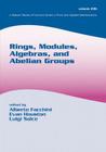 Rings, Modules, Algebras, and Abelian Groups (Lecture Notes in Pure and Applied Mathematics) By Alberto Facchini (Editor), Evan Houston (Editor), Luigi Salce (Editor) Cover Image