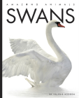 Swans (Amazing Animals) By Valerie Bodden Cover Image