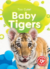 Baby Tigers By Betsy Rathburn Cover Image