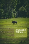Anabaptist Witness 7.2 Cover Image
