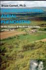 Unconventional Aerial Phenomena: In the Hudson and Wallkill River Valley of New York By Bruce Cornet Cover Image
