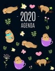 Pereza Agenda 2020: Planificador Annual - Enero a Diciembre 2020 - Ideal Para la Escuela, el Estudio y la Oficina By Studio Bralfa Cover Image
