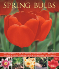 Spring Bulbs By Peter McHoy Cover Image
