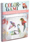 Color-Gami (mass market) (Mass Market Origami Books) By Masao Donahue Cover Image