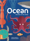 Ocean: Secrets of the Deep By Sabrina Weiss, Giulia de Amicis (Illustrator) Cover Image