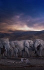 Notebook: landscape elephants sky sunset Africa Cover Image